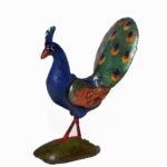 Pavo real c. abierta