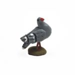 Paloma gris pequeña