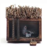 Jaula paloma pichón