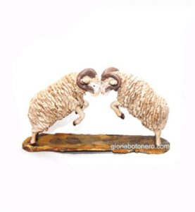 Carneros peleando 12