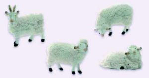Oveja con lana grand