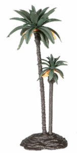 Palmera de 20-14cm