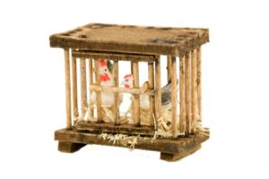 Jaula con gallina
