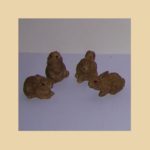 Conejo marron pequeño