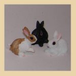 Conejos en 3 colores
