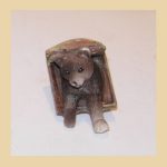 Gato saliendo gatera