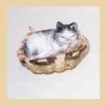 Gato dormido mediano