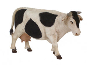 Vaca