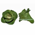 Lechuga