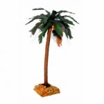 Palmera 4
