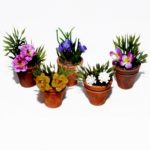 Maceta surtida