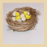 Nido polluelos y huevos