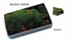 Caja musgo fresco