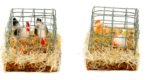 Jaula con dos gallinas