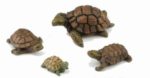 Tortugas surtidas 2-4cms