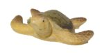 Tortuga 3,5cms