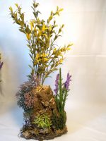 Arbustos de la sierra