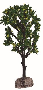 Árbol Limones 14 cm