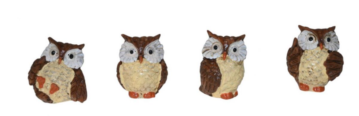 Buho surtido de resina