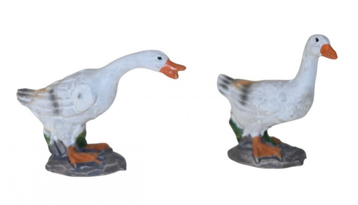Ganso 6cm